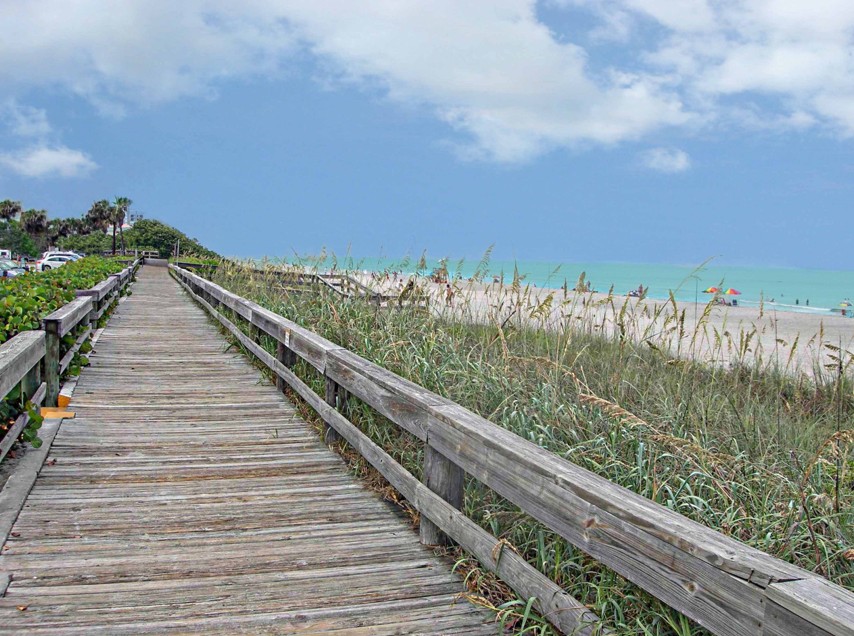 A summer day on the Beach Bus route